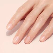 woman's hand with beautiful nails